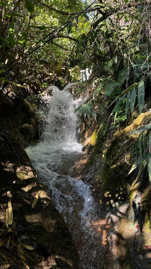 Joey'S Homestay Rishīkesh Dış mekan fotoğraf